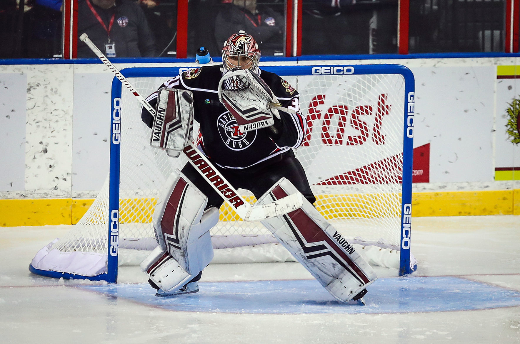 Rush host Steelheads